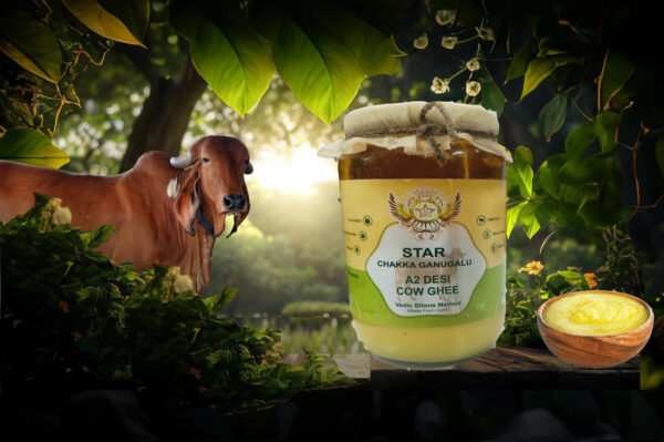 STAR CHAKKA GANUGALU A2 DESI COW GHEE -500 Gms